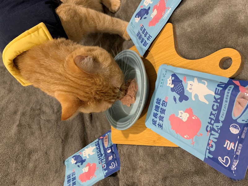 女人知己試用大隊,口碑行銷,部落客行銷,自然食 成長機能主食餐包,自然食,成長機能狗狗主食餐包,成長機能貓咪主食餐包,滿足毛孩最單純的幸福,人食等級食材,開封即食,綿密的肉泥狀質地,好吸收,無膠類,無色素,無防腐劑的添,維持腸道健康,添加DHA/靈芝多醣體,使用高優質蛋白,適口性佳,狗狗口味,犬用營養火雞,犬用嫩雞牛肉,貓咪口味,貓用營養嫩雞,貓用嫩雞鮪魚